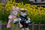 Dcim12079/DSC_5416