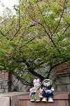 Dcim12079/DSC_5428