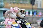 Dcim12080/DSC_5541