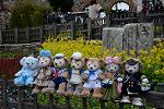 Dcim12080/DSC_5593