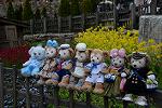 Dcim12080/DSC_5595