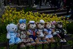 Dcim12080/DSC_5596