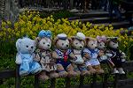 Dcim12080/DSC_5598