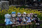 Dcim12080/DSC_5600