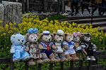 Dcim12080/DSC_5601