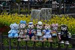 Dcim12080/DSC_5603