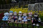 Dcim12080/DSC_5605