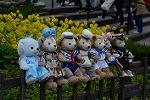Dcim12080/DSC_5611