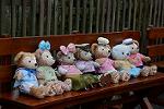 Dcim12080/DSC_5631