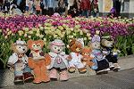 Dcim12081/DSC_5725