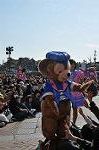 Dcim12084/DSC_0021