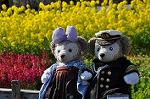 Dcim12084/DSC_0055