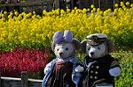 Dcim12084/DSC_0056