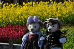 Dcim12084/DSC_0057