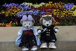 Dcim12085/DSC_5821