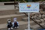 Dcim12085/DSC_5825