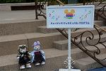 Dcim12085/DSC_5826
