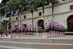 Dcim12087/DSC_6093