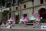 Dcim12089/DSC_6449