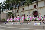 Dcim12090/DSC_6536
