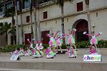 Dcim12090/DSC_6581