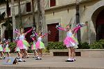 Dcim12093/DSC_6877