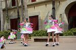 Dcim12093/DSC_6892