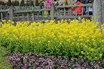 Dcim12094/DSC_7027