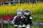 Dcim12094/DSC_7029