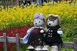Dcim12094/DSC_7030