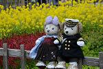 Dcim12094/DSC_7031
