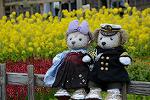 Dcim12094/DSC_7034