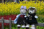 Dcim12094/DSC_7036
