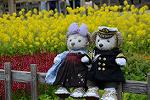Dcim12094/DSC_7037