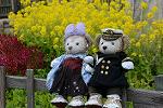 Dcim12094/DSC_7051