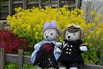 Dcim12094/DSC_7052