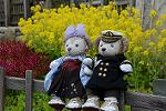 Dcim12094/DSC_7054
