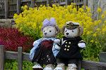 Dcim12094/DSC_7055