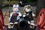 Dcim12095/DSC_7253