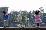 Dcim12097/DSC_7499