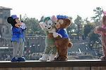 Dcim12097/DSC_7517