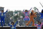 Dcim12098/DSC_7529