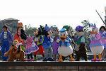 Dcim12098/DSC_7643