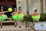 Dcim12106/DSC_8591
