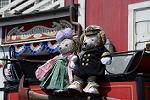 Dcim12112/DSC_9528
