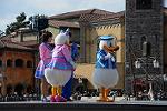 Dcim12114/DSC_9725