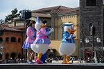 Dcim12114/DSC_9726