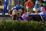 Dcim12115/DSC_9904