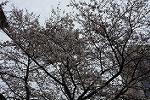 Dcim12117/DSC_0148