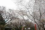 Dcim12117/DSC_0167